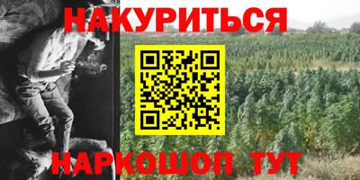индика Тулун