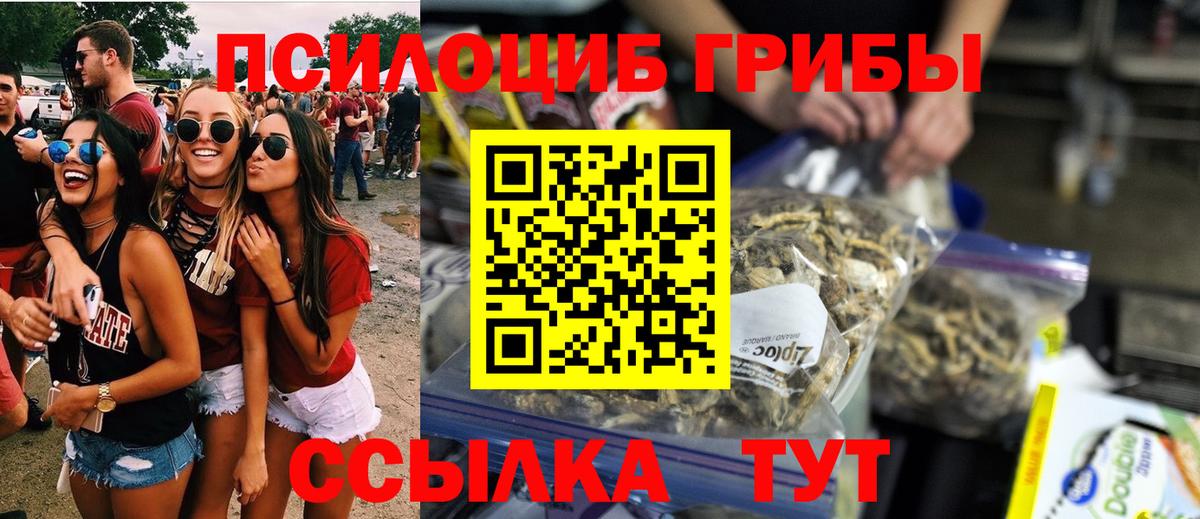 дарнет шоп  Псилоцибиновые грибы мицелий  Вход с VPN  Можайск 