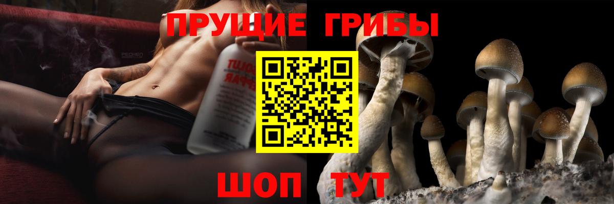 Галлюциногенные грибы MAGIC MUSHROOMS Можайск